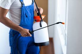 Best Emergency Pest Control  in Indio, CA